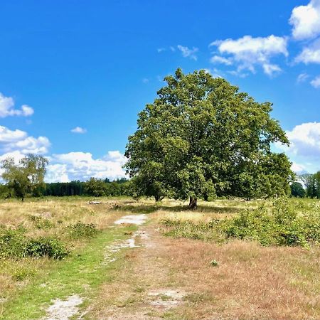 Buitenlust In Het Bos Zuidlaren Esterno foto