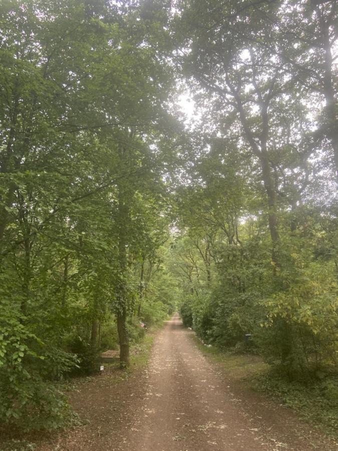 Buitenlust In Het Bos Zuidlaren Esterno foto