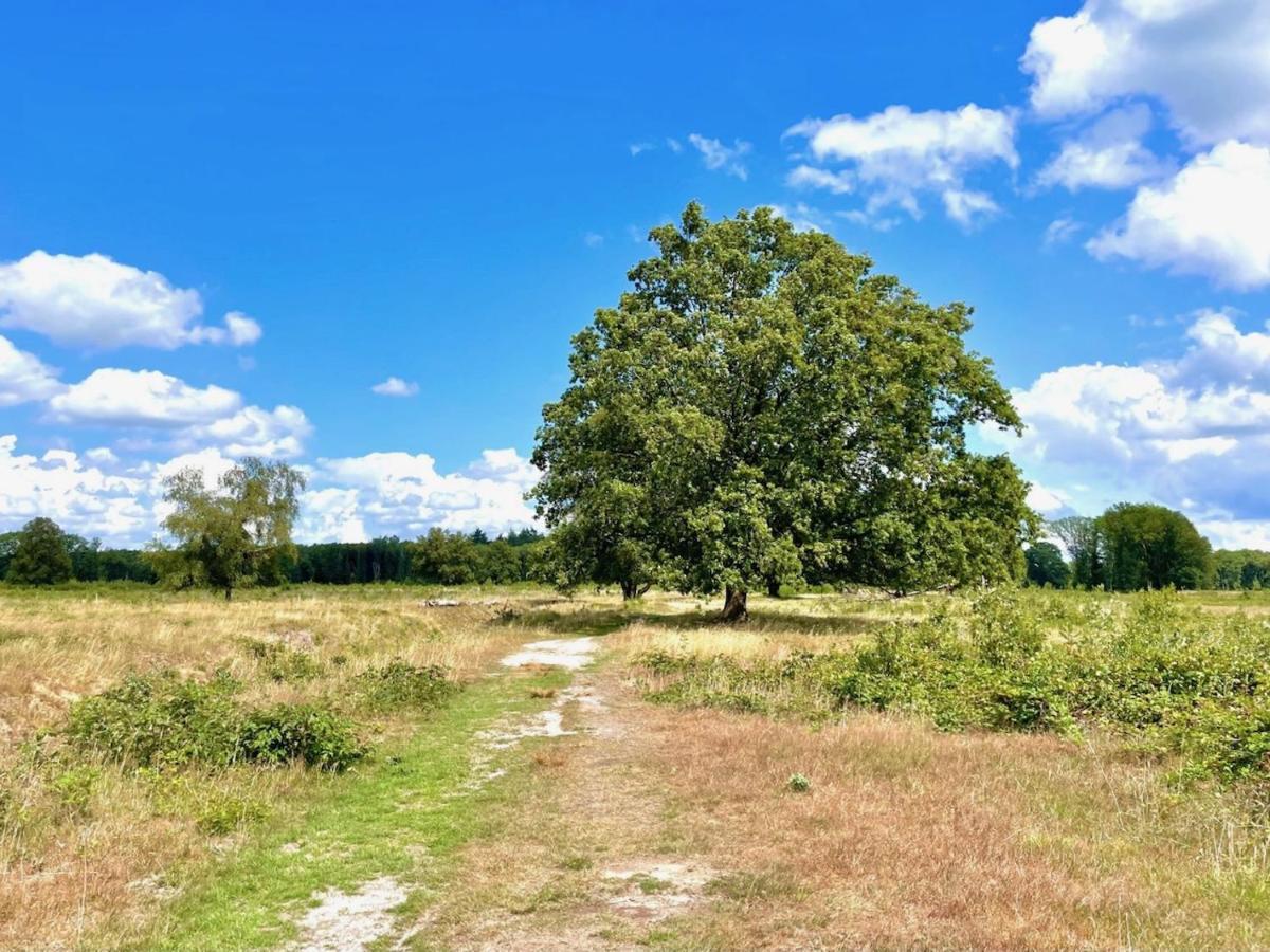 Buitenlust In Het Bos Zuidlaren Esterno foto