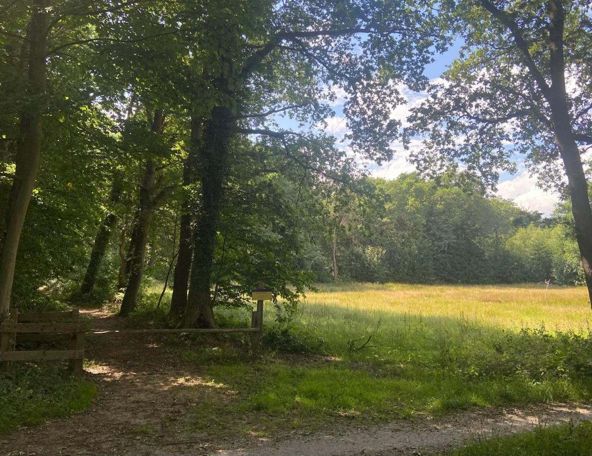 Buitenlust In Het Bos Zuidlaren Esterno foto