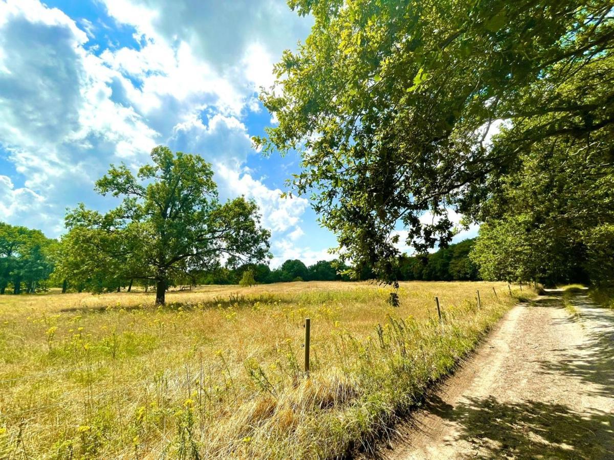 Buitenlust In Het Bos Zuidlaren Esterno foto